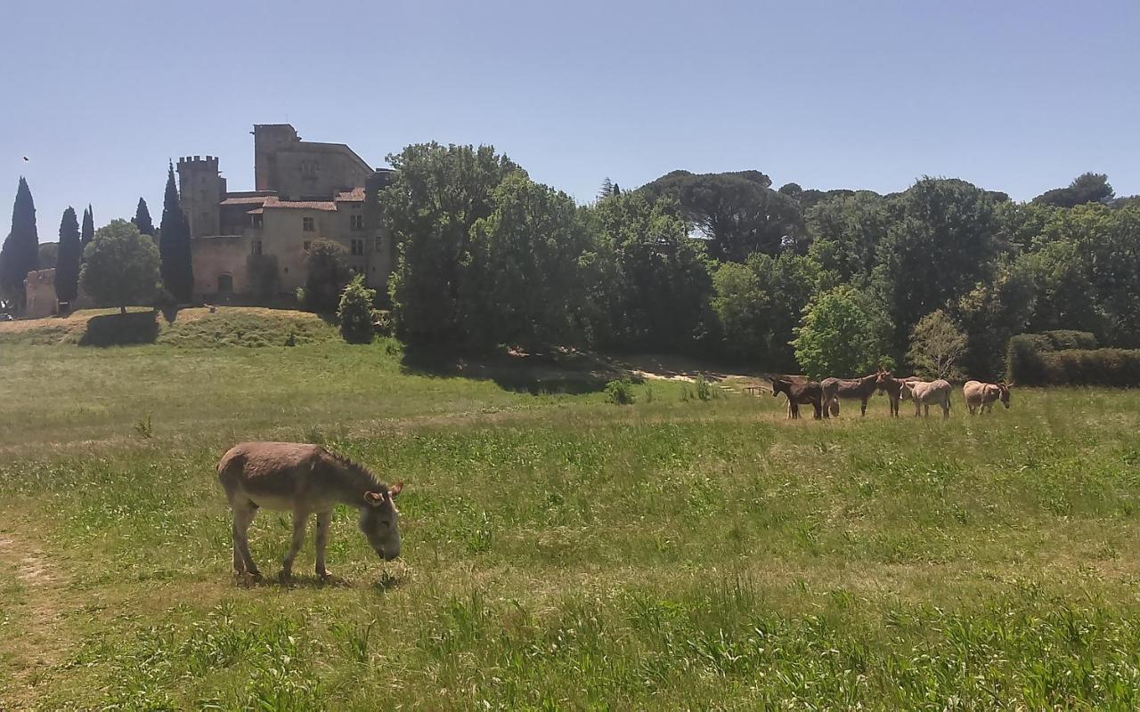 Une Chambre En Luberon Puyvert Buitenkant foto
