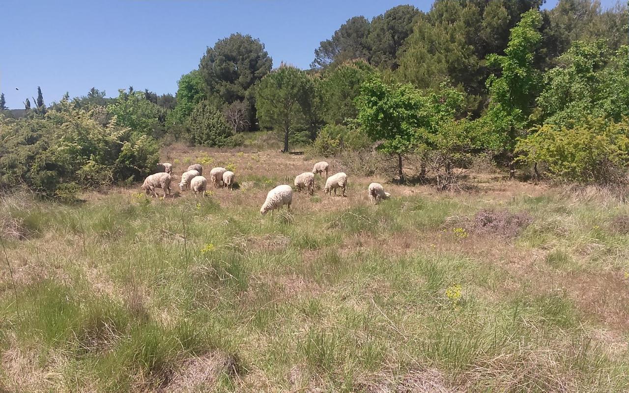 Une Chambre En Luberon Puyvert Buitenkant foto